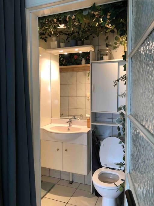 Studio Zeezucht Blankenberge Luaran gambar