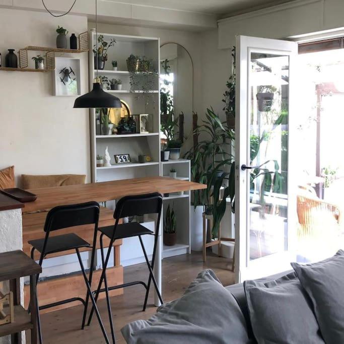 Studio Zeezucht Blankenberge Luaran gambar